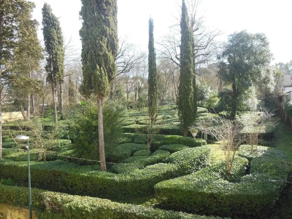 L'Albero di Garibaldi - photo 11