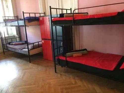 Squirrel Hostel Tbilisi - photo 8