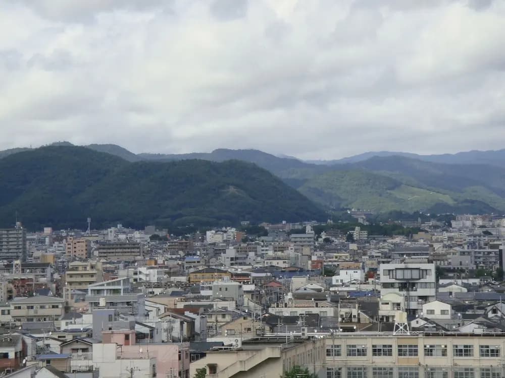 Landmark Hayashi - photo 16