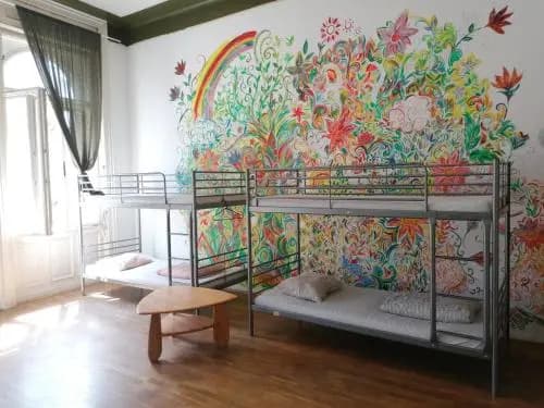 Black Dog Hostel - photo 3