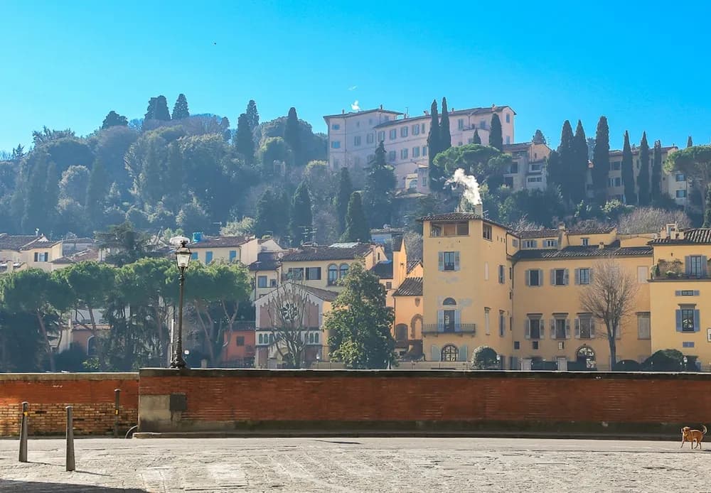 Malenchini Vasari - photo 10