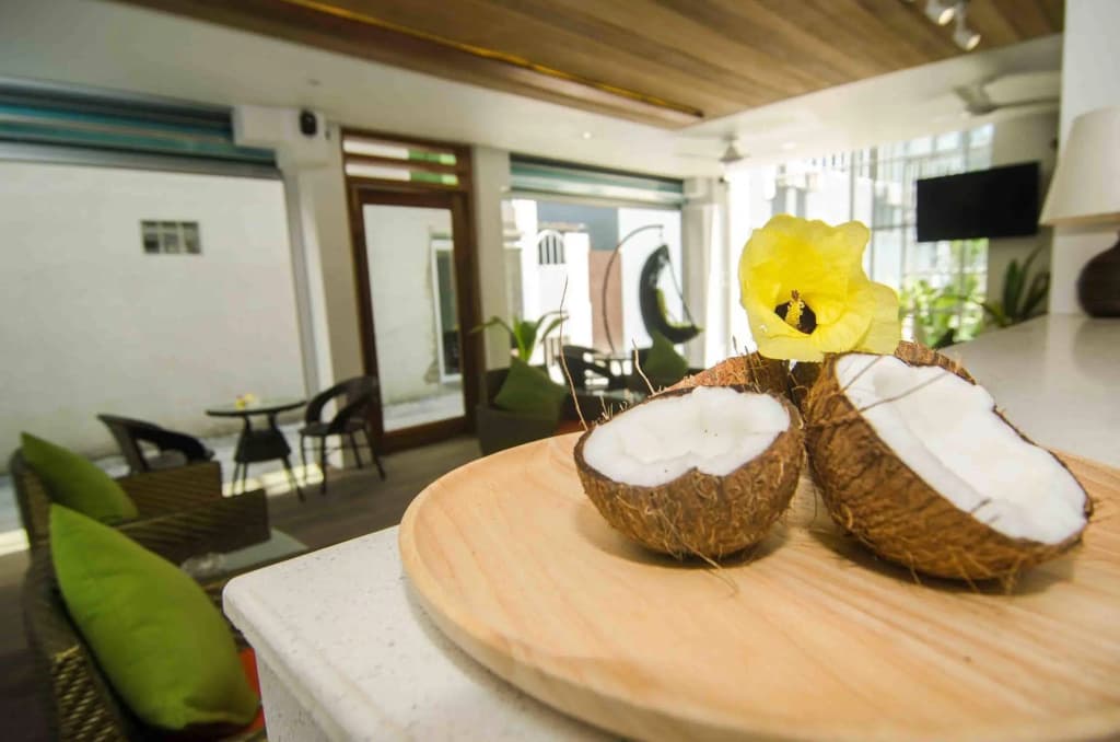 Coconut Tree Hulhuvilla Beach - photo 25