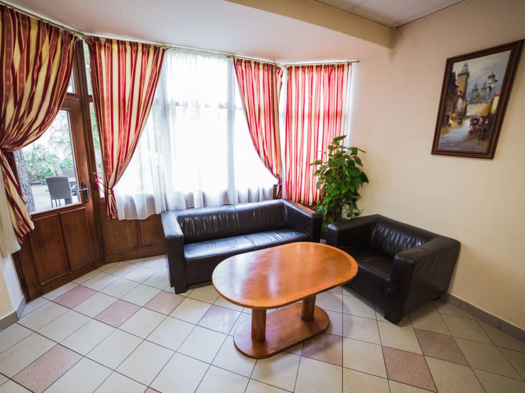Hotel Dalimil - photo 12