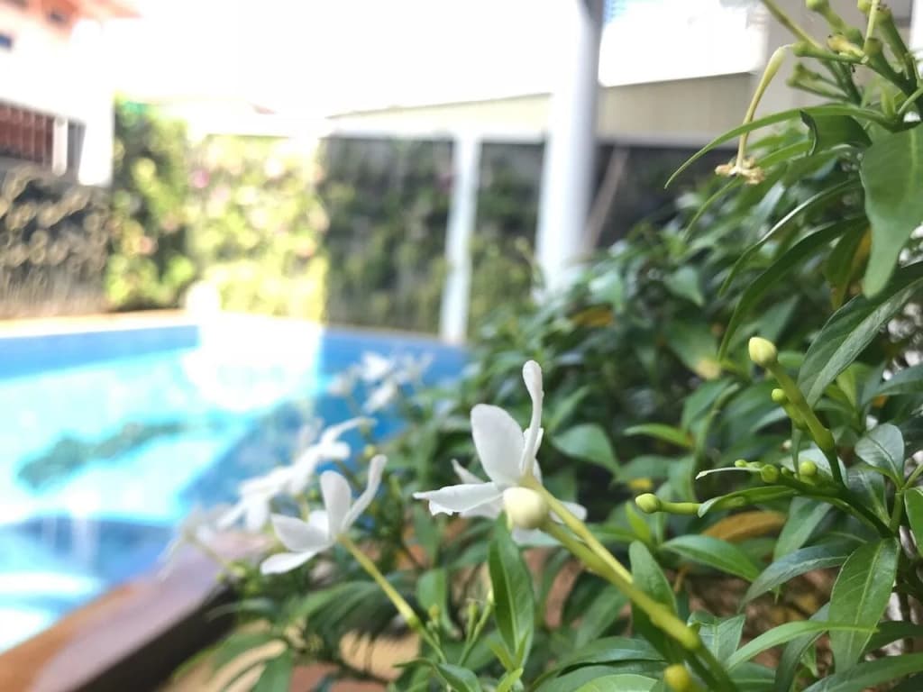 Leevid Residence Siem Reap - photo 9