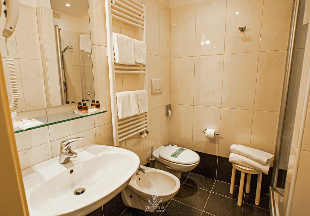 Viktoria Palace Hotel - photo 17