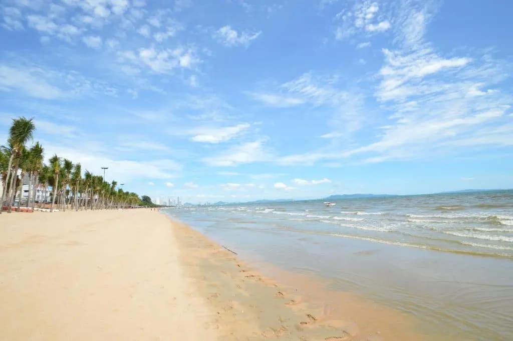 Happy Vikings - Beachfront - photo 19