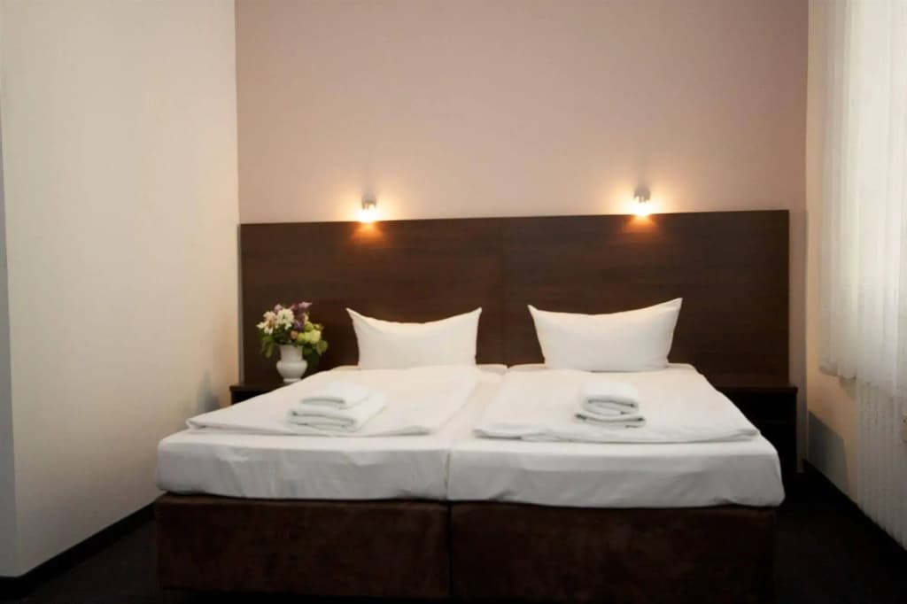 Arta Lenz Hotel - photo 4