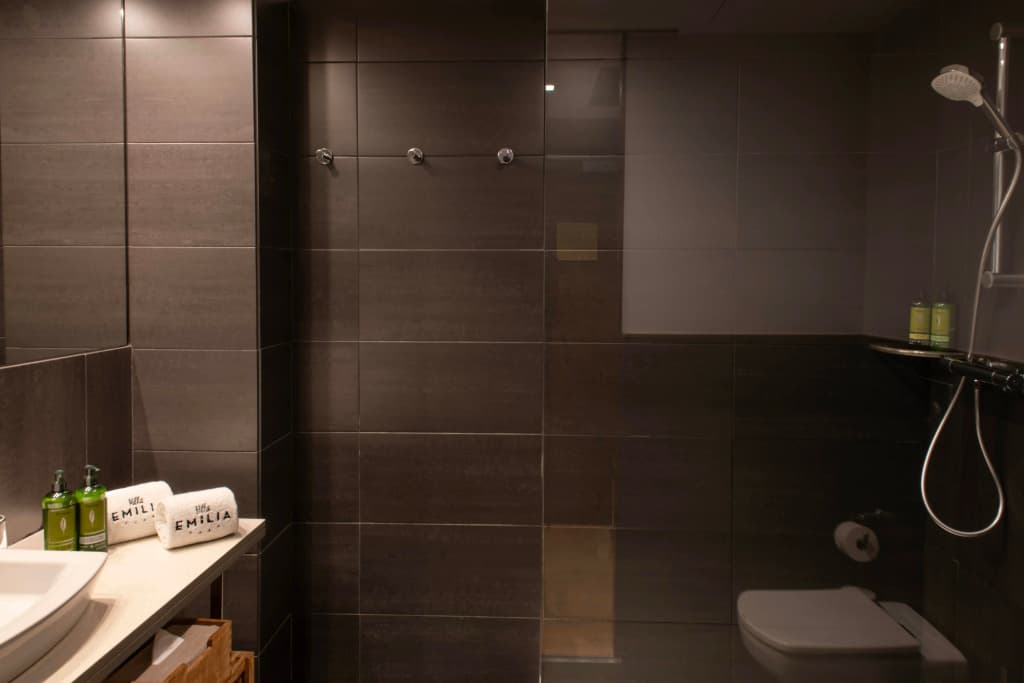 Hotel Villa Emilia - photo 8