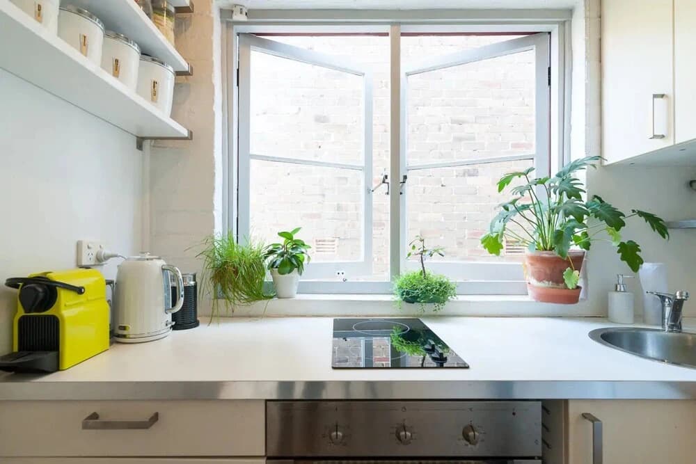 Beautiful Lush and Green Oasis Studio Apartment - photo 12