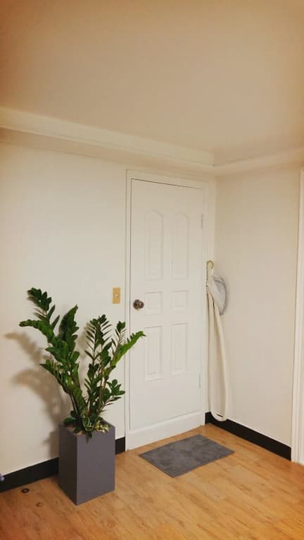 RyanHouse - photo 12