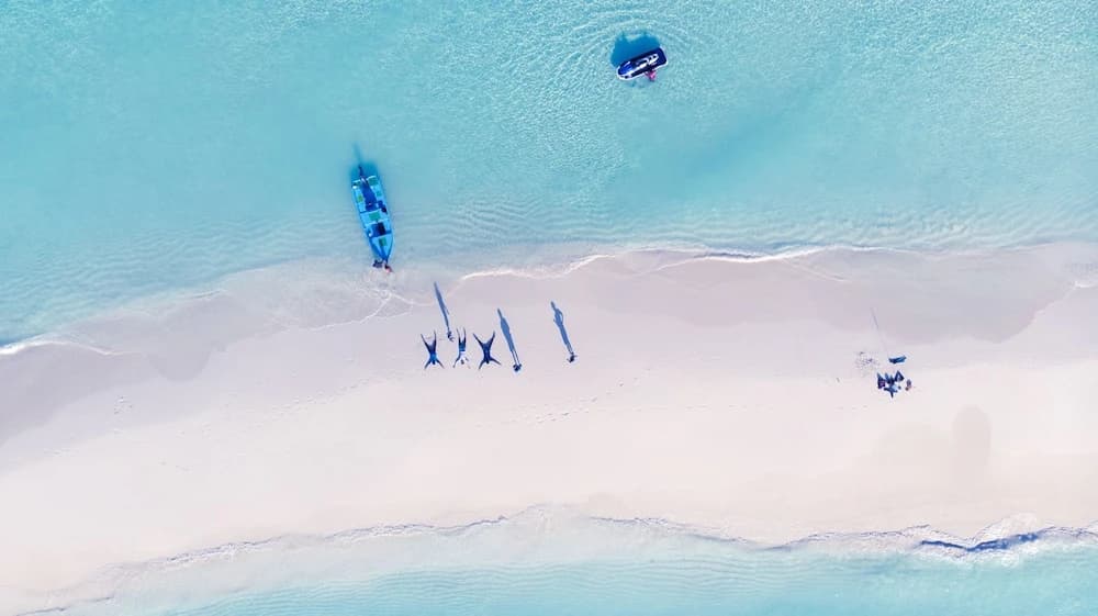 Manta Sea View - photo 15