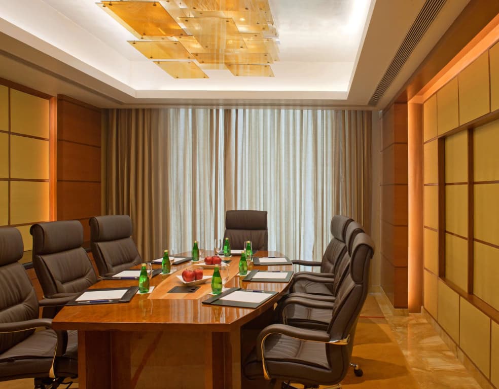 Radisson Blu Plaza Delhi Airport - photo 14