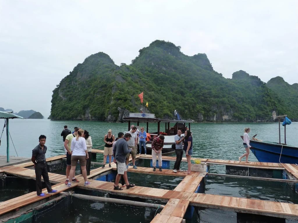 Gray Line Cruise - photo 19