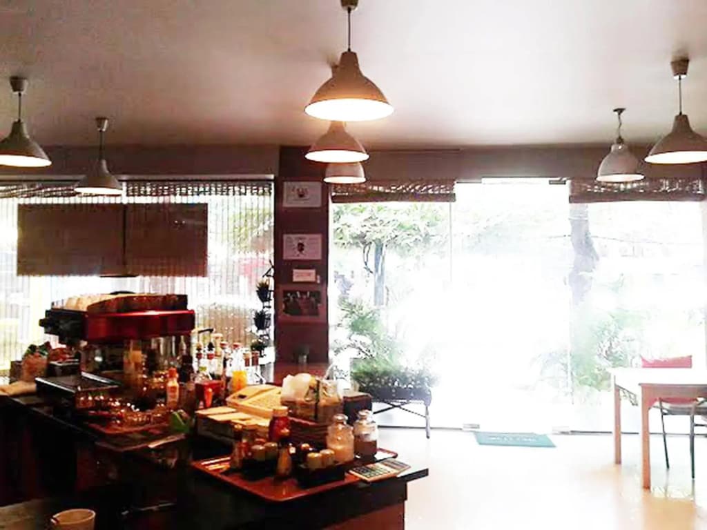 Rainforest Guest House - photo 15