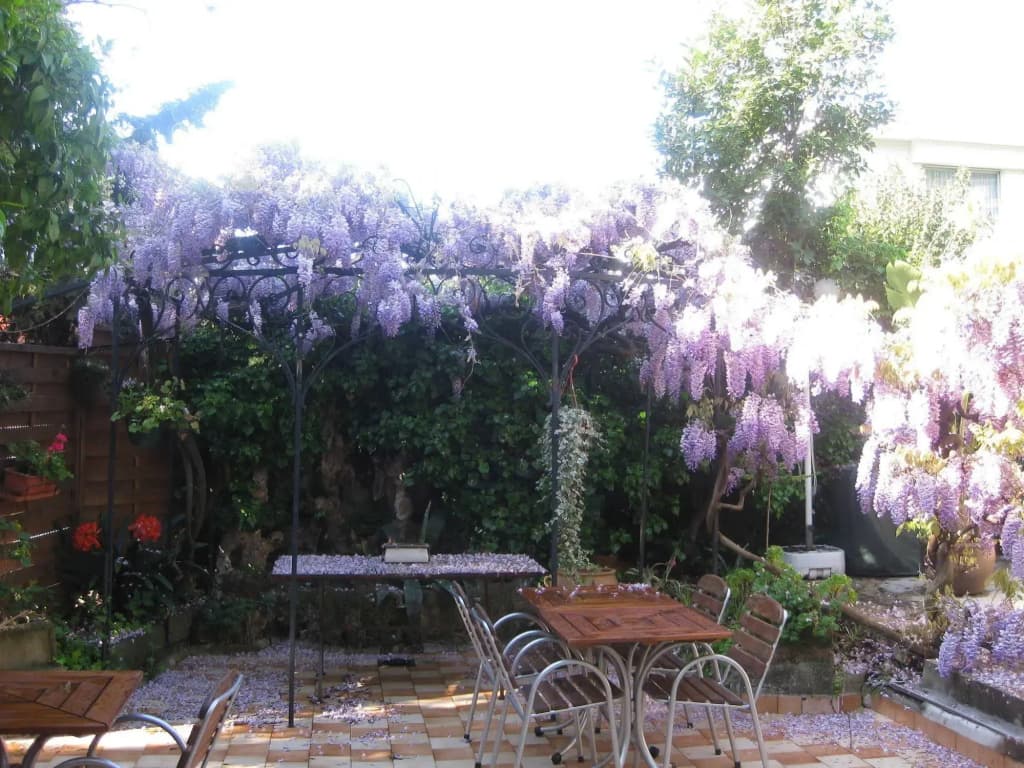 Hôtel Villa la Malouine - photo 11