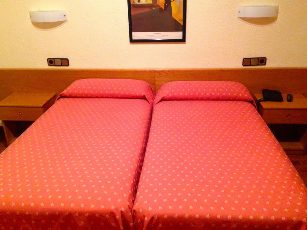 Hotel Pelayo - photo 4