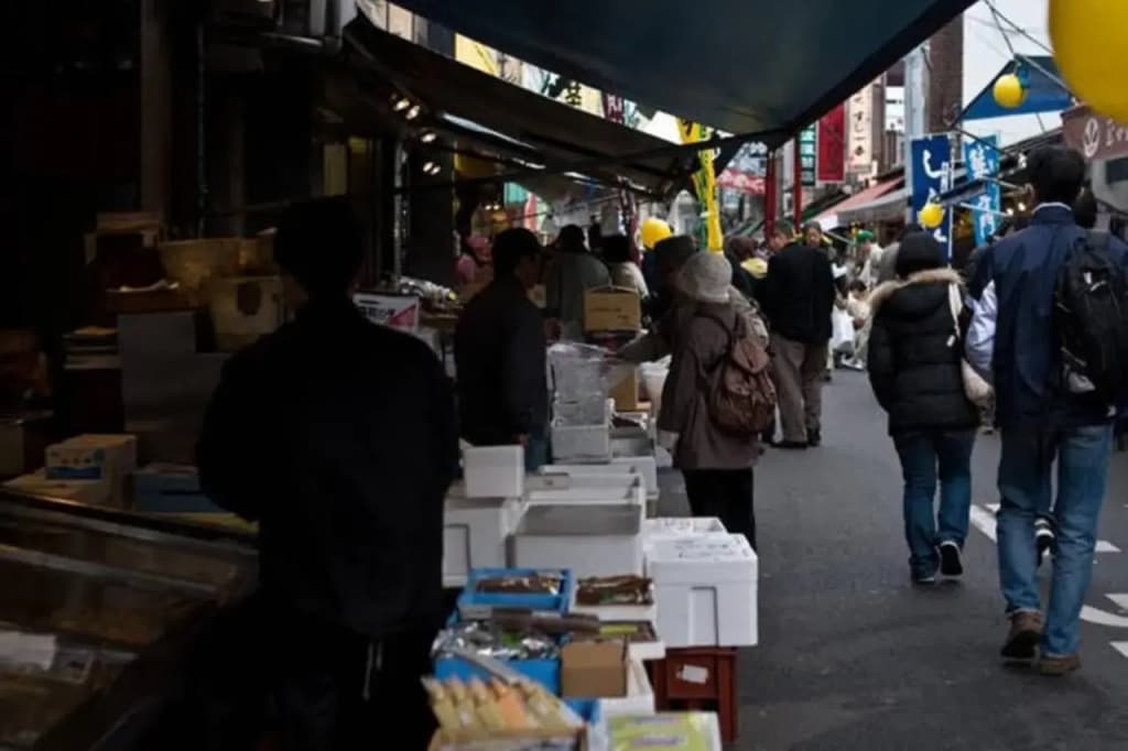 エバーグリーン新宿 リュクス 2m15 - photo 15