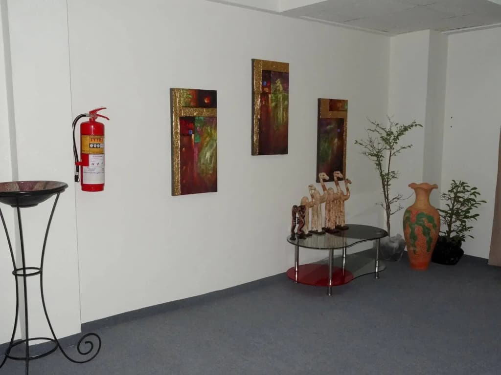 The Lounge Hotel - photo 6