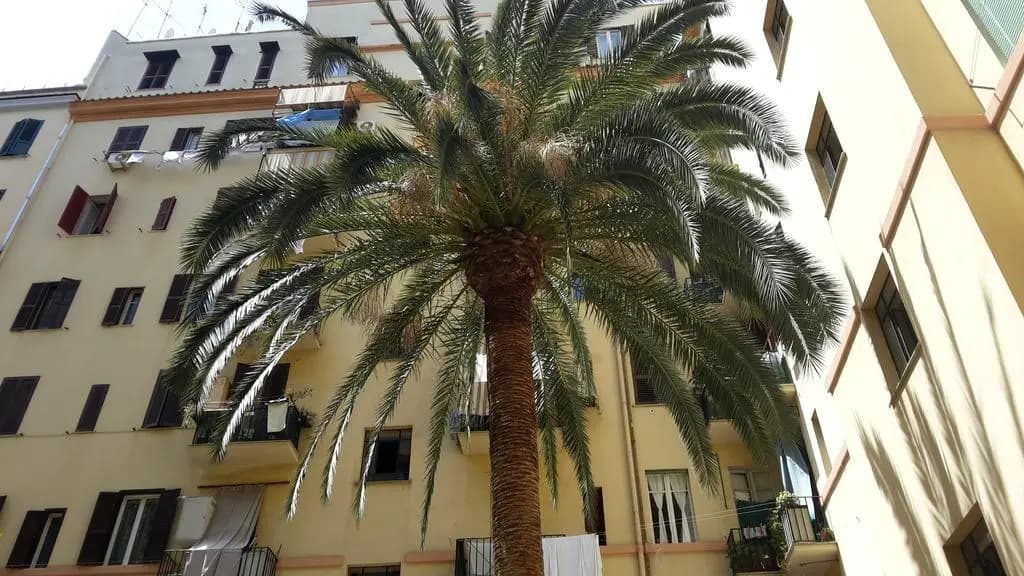 Maison De Chantal - main photo