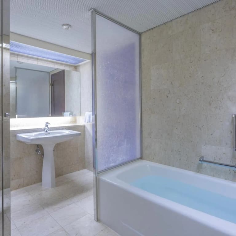 Grand Prince Hotel Takanawa - photo 10