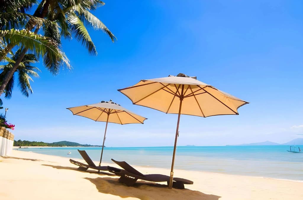 ZAYN Samui Hotel - photo 5