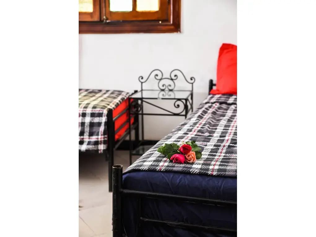 Peace Hostel - Adults Only - photo 2