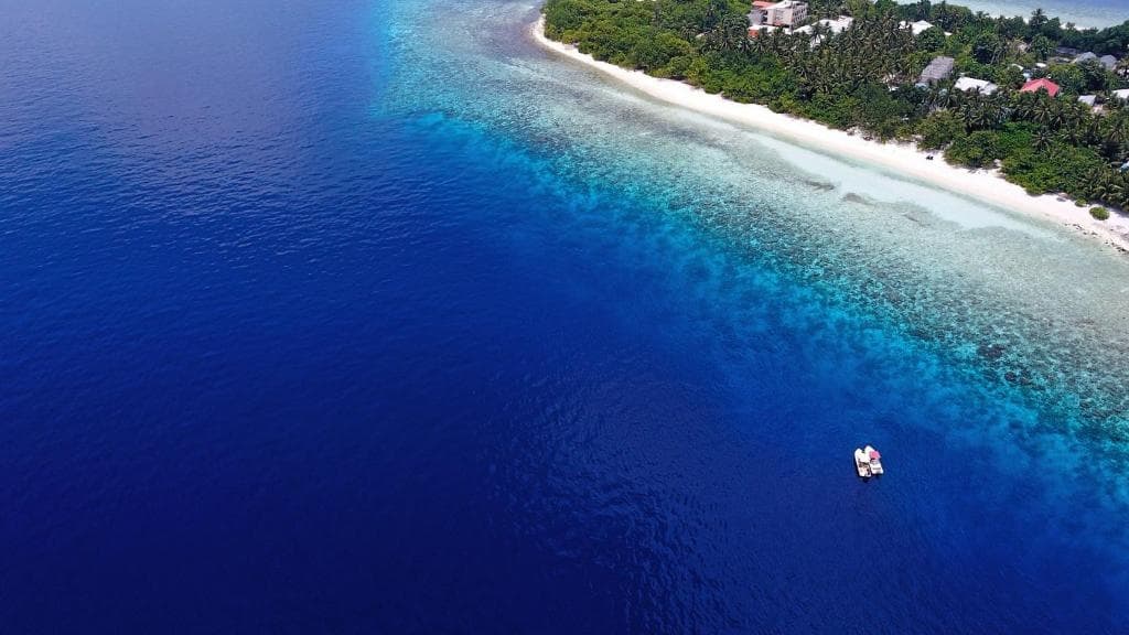 Paguro Beach Inn - photo 11