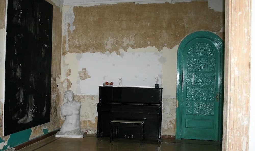 Neoclassical ART-House Bhive - photo 14