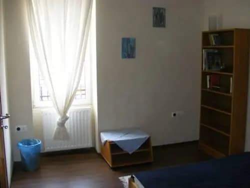 Palatinus Apartment - photo 5