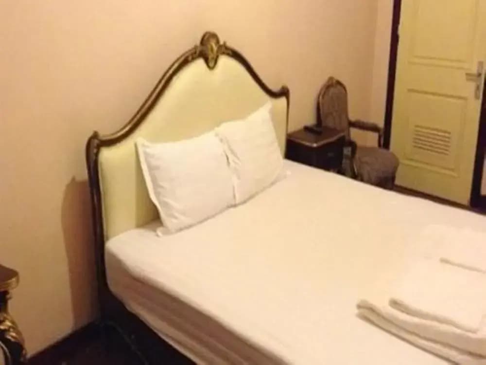 Phoenix Hotel - photo 6