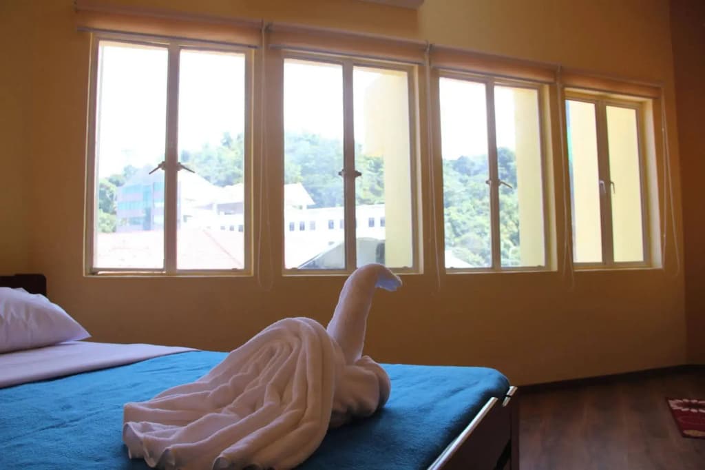 Fat Rhino Hostel - photo 7