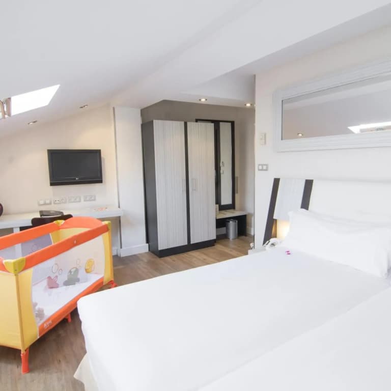 Petit Palace Arenal - photo 21