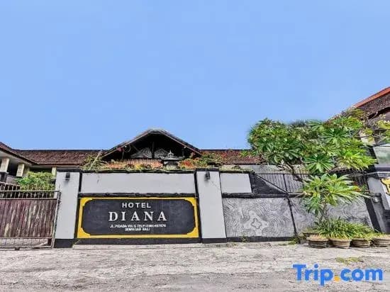 Hotel Diana 1 - photo 20