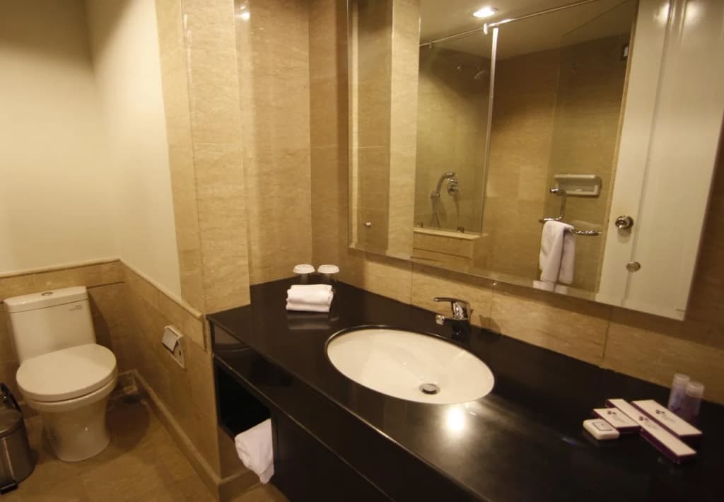 Diradja Hotel - photo 9