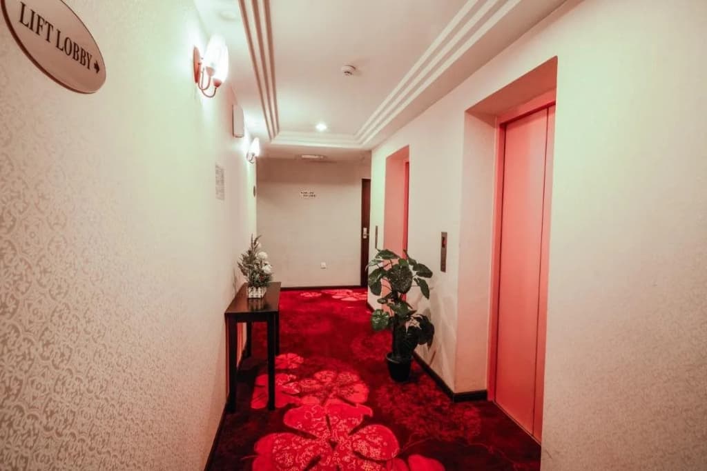 Hotel Vistaria - photo 9