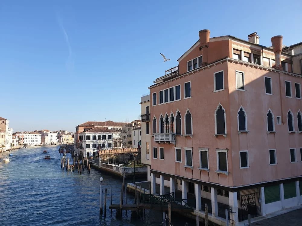 LHost in Venice - photo 10