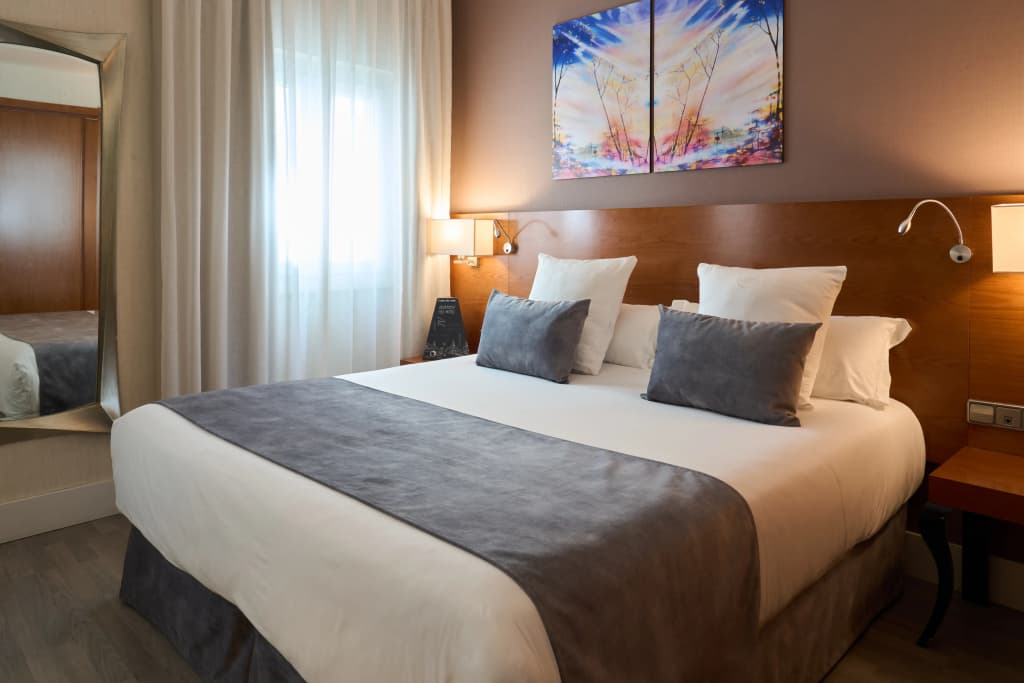 Hotel Puerta de Toledo - photo 5