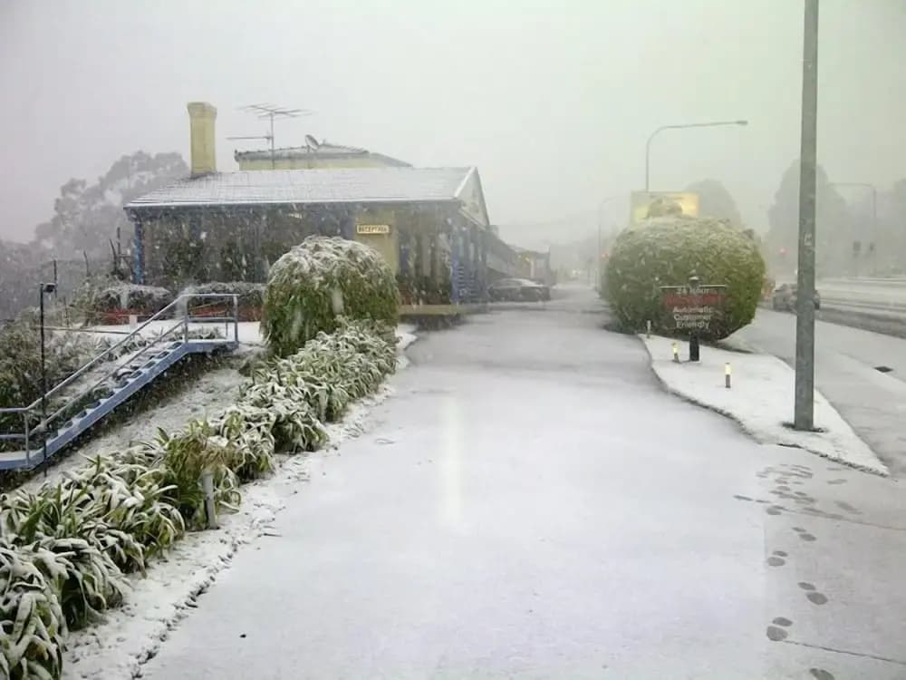 Blue Mountains Highway Motel - photo 5