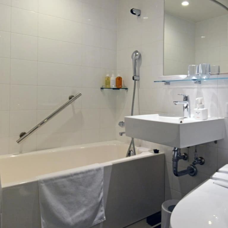 Hotel Forza Osaka Kitahama - photo 27