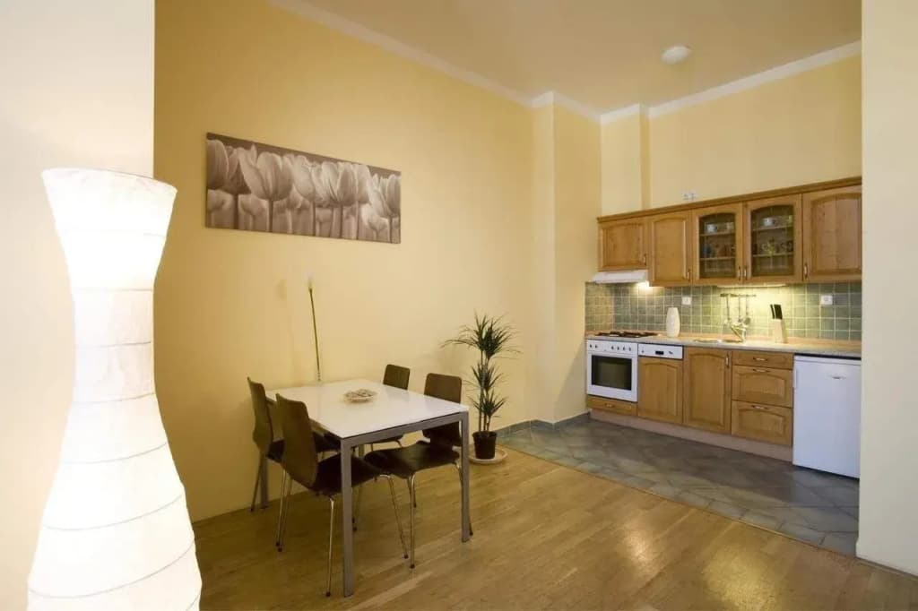 Apartments Wenceslas Square - photo 12