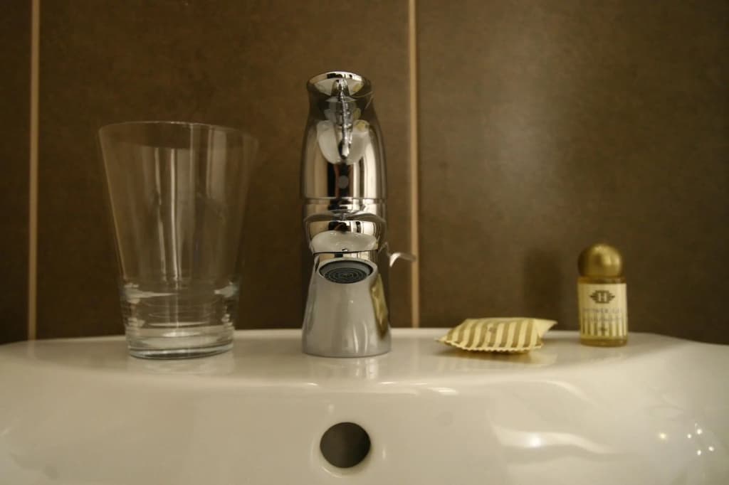 Central Hotel 21 - photo 9