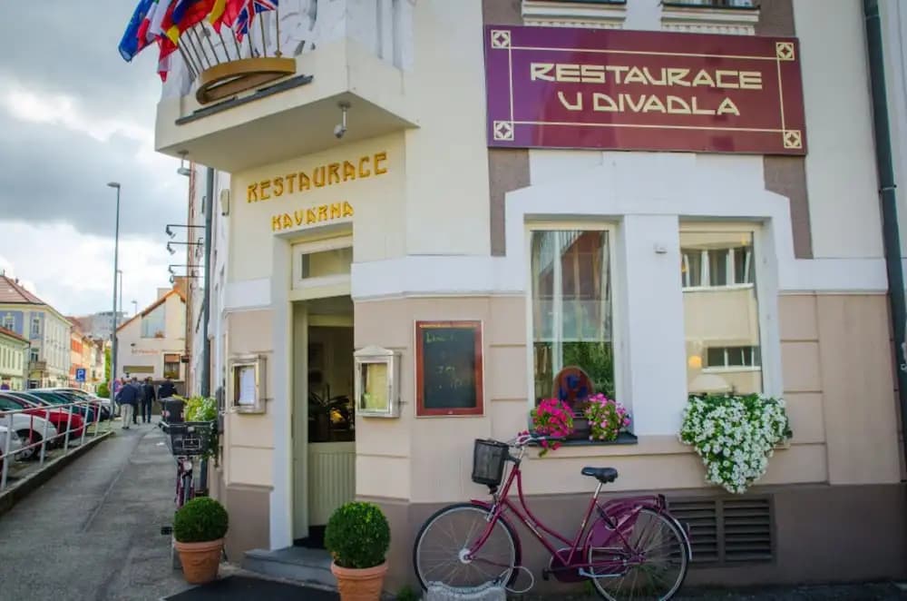 Hotel U Divadla - photo 16