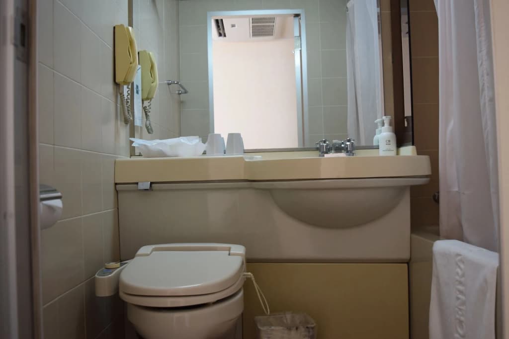 Asakusa Central Hotel - photo 8