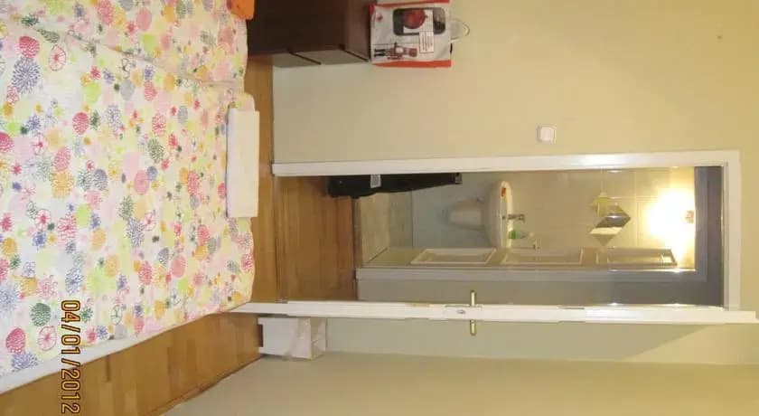 Mushrooms Hostel - photo 1