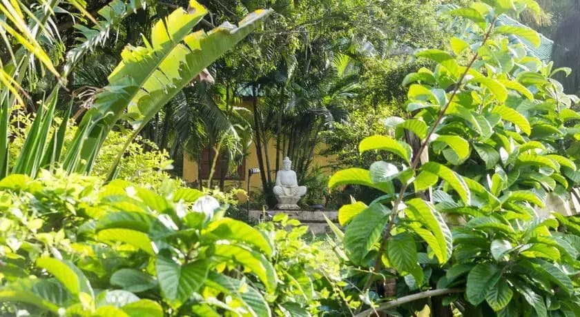 Coco Kamala Villa Phuket by AM - photo 9
