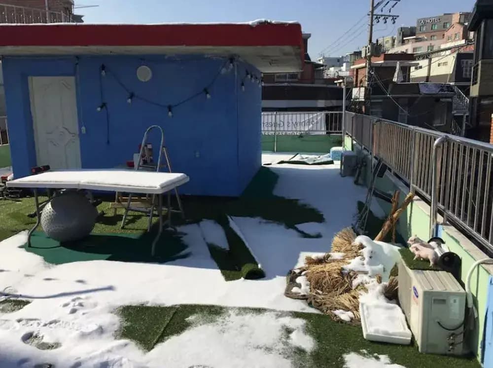 JOHNNY's House - photo 8