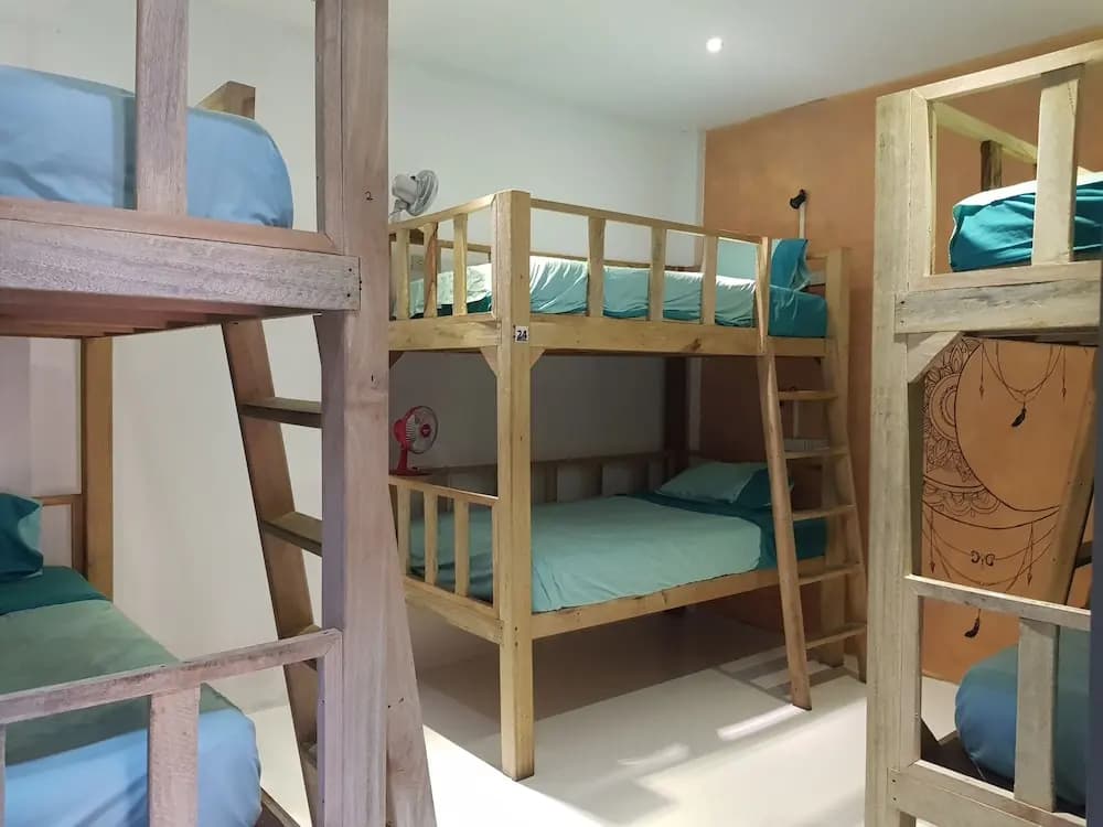 Casa Luna Hostel - photo 5