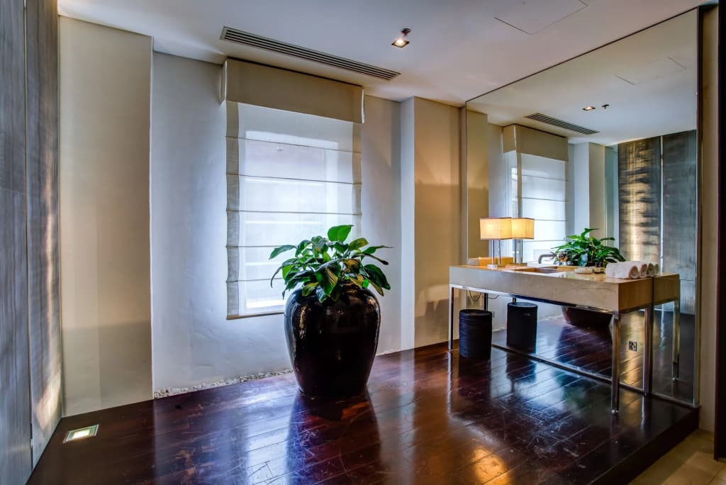 Establishment Hotel - photo 35