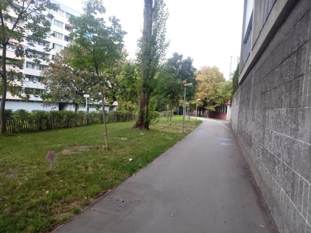Vienna as it's best - photo 15
