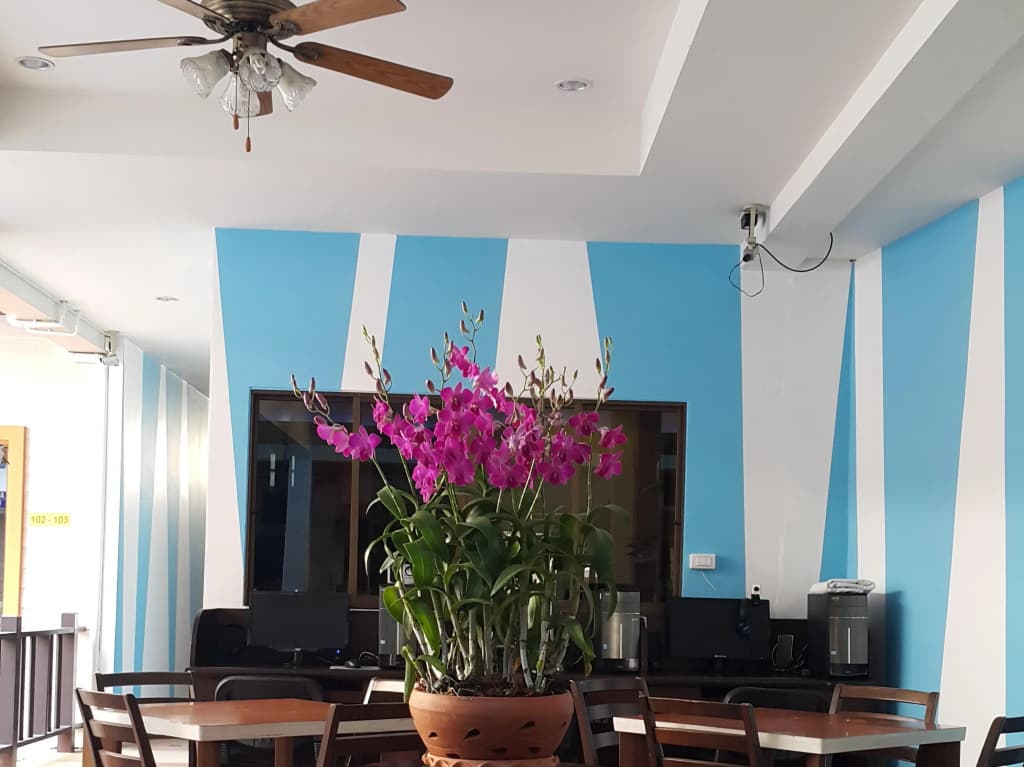 MT Hotel Patong - photo 19